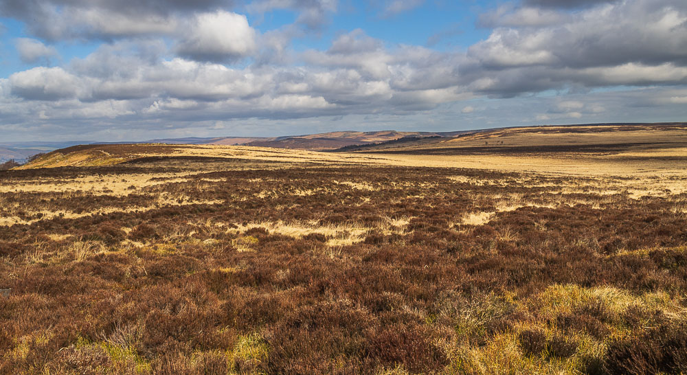 Big Moor Big Moor